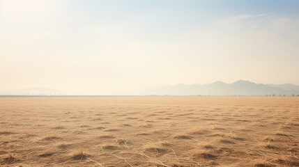 A Barren Rice Field Devoid of Vitality On The Arid Land On Blurry Background