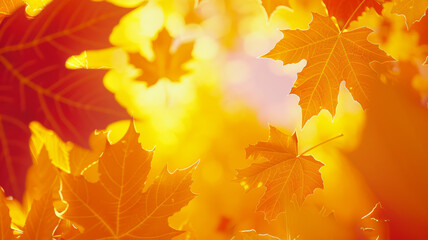A close up of a bunch of orange leaves with a bright yellow background
