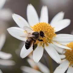 A close-up of a bee pollinating a flower with pollen on its legs and wings3