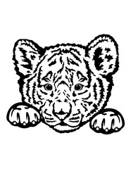 Peeking Baby Tiger | Cute Baby Tiger | Wildlife | Cub | Tigress | Pet Portrait | Zoo Animal | Original Illustration | Vector and Clipart | Cutfifle and Stencil
