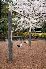 Swing set in a playground on a spring day with a flowering ornamental tree with pale pink blossoms in the background
