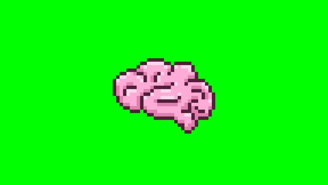 Human brain, organ pixel art