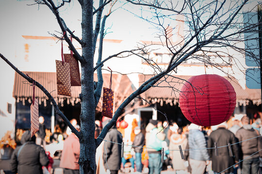 Lunar New Year celebration