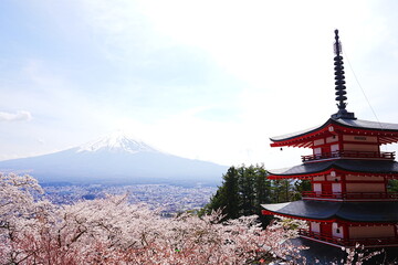 Mt. Fuji with Cherry Blossom and or Pink Sakura Flower and Five-story Pagoda over Blue Sky in Yamanashi, Japan - 日本 山梨県 新倉山浅間公園 春の桜 富士山 五重塔