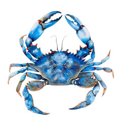 Image of Blue crab ,illustration watercolor isolate printed on Printed Glass Basin Splashbacks