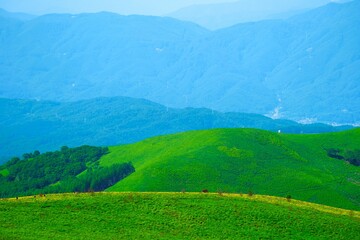Obraz premium 夏の霧ケ峰高原の風景