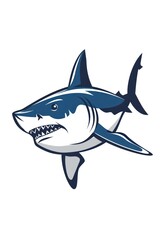 Fototapeta premium Shark Vectors & Illustrations