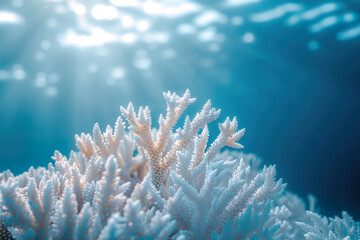 Coral bleaching with sun rays filtering through blue ocean waters.  - obrazy, fototapety, plakaty