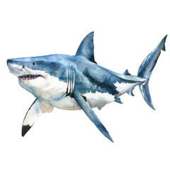 Naklejka premium Sharks are fascinating creatures 