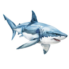 Obraz premium great shark Sharks are fascinating creatures