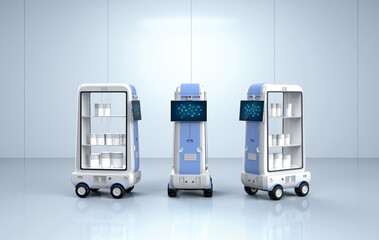 Delivery robot trolley or robotic assistant carry products