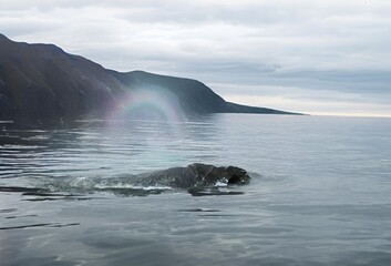 waves crashing on rocks