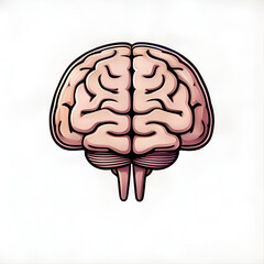Brain flat vector illustration brain hand drawing 
