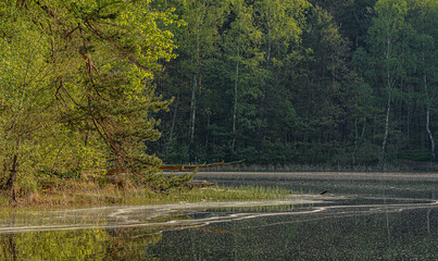 lake in spring
