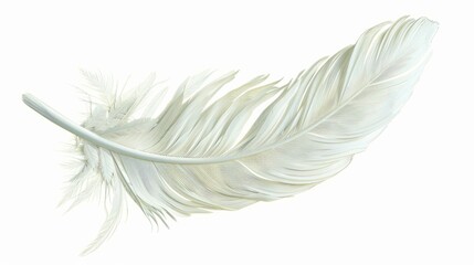 PNG White bird feather hyper realistic 