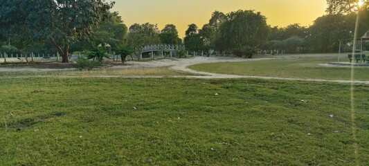 Obraz premium morning in the park