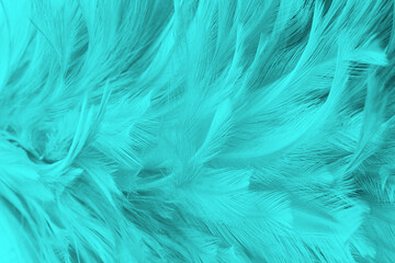 Beautiful green turquoise vintage color trends feather pattern texture pastel background