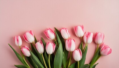 Fototapeta premium Beautiful composition spring flowers. Bouquet of pink tulips flowers on pastel pink backgrou