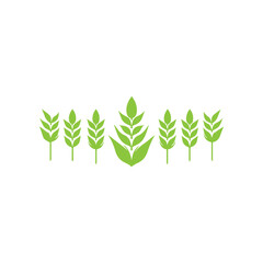 Agriculture logo design