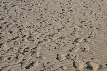 footprints on the sand