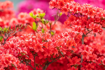 Seoul, South Korea - April 22 2024 