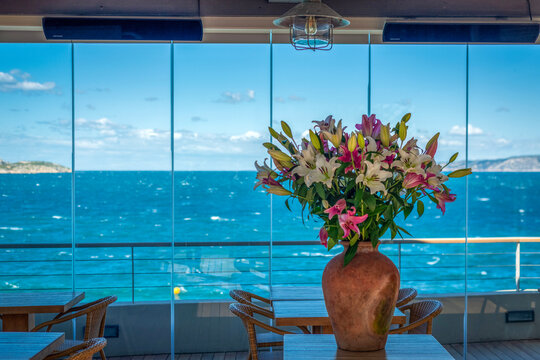 Pot de fleurs sur une terrasse avec vue sur mer