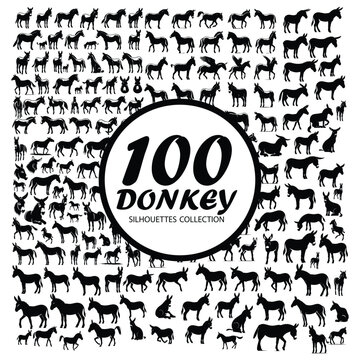 A set of 100 detailed high quality vactor donkey silhouettes in white backgraund.