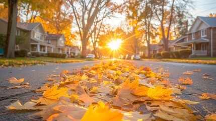   A collection of leaves resting by the roadside with sunlight filtering through the trees behind them