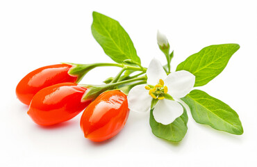 Fresh  goji berries  with leaves isolated on a white background.