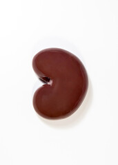 Close-up of an animal kidney on a white background