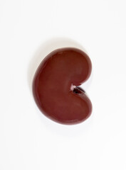 Close-up of a real raw kidney on a white background
