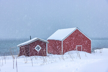 Lofoten