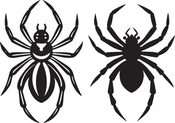 Black and white spiders isolated on a white background.  illustration.