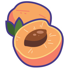 Cartoon apricot fruit vector illustration, whole and half slice aprikot, armenian plum flat icon design, prunus armeniaca isolated on white background