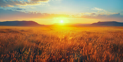 A field of tall grass with a bright orange sun in the sky - Powered by Adobe
