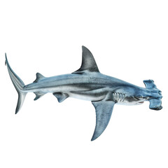 Fototapeta premium Hammerhead shark isolated on white or transparent background