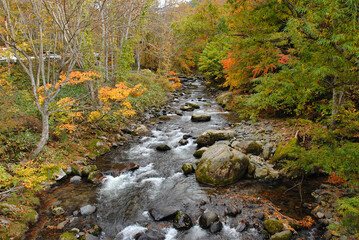 Obraz premium 紅葉に染まる渓谷 みなかみ町照葉峡