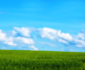 Green, field and grass with blue sky, landscape and nature in clouds, countryside. Sustainability, environment and meadow in horizon for carbon capture, outdoor and eco friendly for agriculture