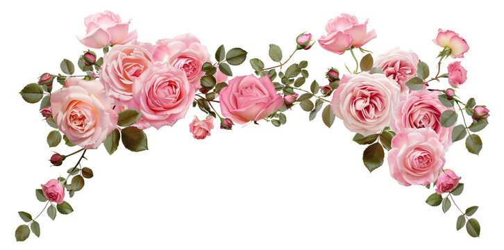 Beautiful arch composed of pink roses and rich green leaves, cut out