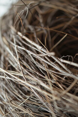 A close up shot of meticulous weaving pattern of a bird's nest, with its interlocking twigs and grasses creating a mesmerizing minimalist composition that symbolizes the cycle of life