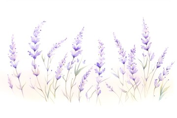 Naklejka premium watercolor lavender, floral strokes