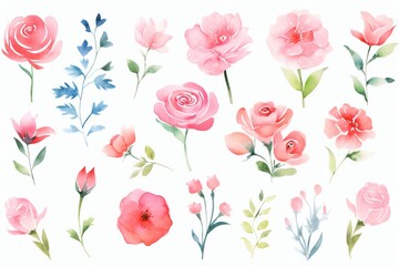 watercolor roses, clipart collection