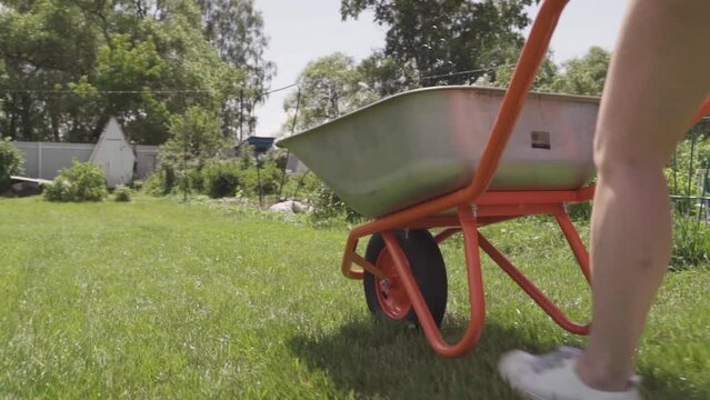a gardener with a garden wheelbarrow in the garden