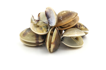 Closed up fresh baby clams, venus shell, shellfish, carpet clams, short necked clams, as raw food from the sea are the seafood ingredients. fresh clams isolated on white background.
