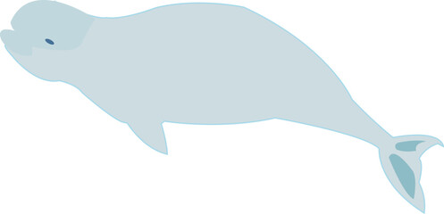 simple beluga cartoon