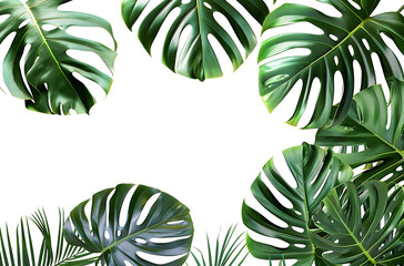 Monstera palm leaf frame isolated transparent background, tropical frame graphic