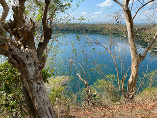 The view of a secluded lake below is obstructed by trees.