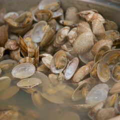 Seafood shell and fish cooked on a grill at the Osaka fish market in Japan.