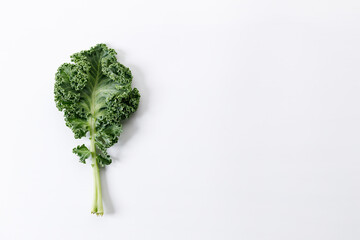 Fresh green Kale leaf salad vegetable on white background