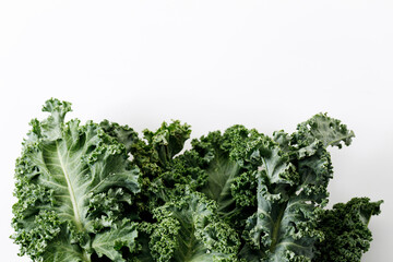 Fresh green Kale leaf salad vegetable on white background